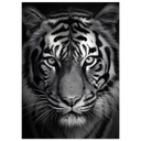 0501e59a-5459-4879-bf41-87125eb4da26