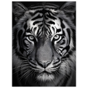 17d15e44-323d-46ed-bdee-ac8b925d8a5b