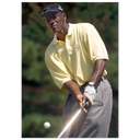 1acaba6f-340b-433f-b865-75c398652bf9