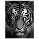 52eb21df-b61c-467f-9700-a2461cf54165