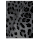 6dd26310-3b3e-4bf7-981d-2b3a7e5b7e2f