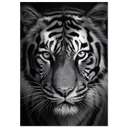 7ee5b46a-0f15-473c-9863-41667286ba4f