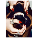 895dcb1f-ea1e-48a8-bd16-67dca7bf00b7