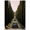 95bacf3e-bb70-4db0-97cd-44a18c73ae12