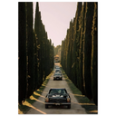 c017f8fd-4c7e-4a0e-ac62-4f8c85d53243