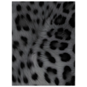 c8b58a01-3e65-42a6-b258-ce2723ef6891