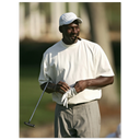 f357370f-163b-46fb-8c38-1bcf238c67a2