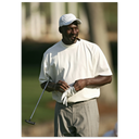 f6070684-fb2a-434c-8dcf-a1e9d5aed30c